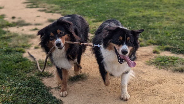 Everything I've noticed